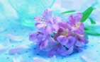 Beautiful_Fresh_Flowers_hd_wallpaper